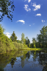 Fototapeta na wymiar Beautiful Swamp Lake In The High Fens, Belgium