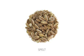 Food circle round spelt wheat