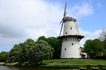 Windmill in the park city of Middleburg, Netherlands (Holland)