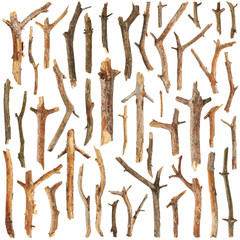 Set of tree branches