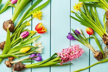 Spring flowers © Nik_Merkulov