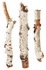 Naklejka premium Birch tree sticks