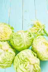 Green cabbage