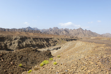 Fototapeta na wymiar Valley in the mountains of Ras al Khaimah, United Arab Emirates 