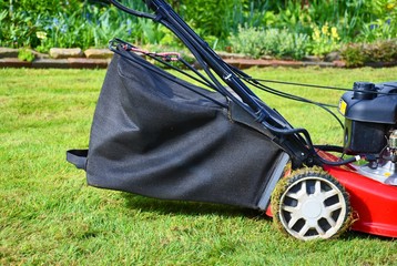 Detailaufnahme eines Rasenmähers: Fangkorb