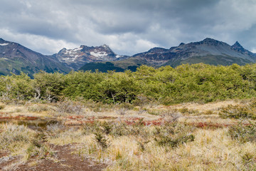 Nature in Tierra del Fuego, Argentina