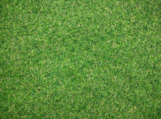 Obraz premium artificial grass