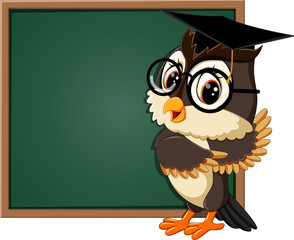 illustration of Owl teacher at blackboard