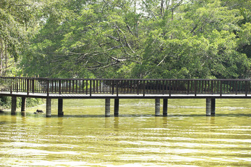 Bridge over the lake in the garden, green, pollution.