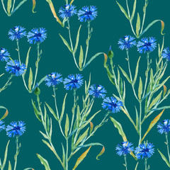background watercolor wildflowers. seamless pattern.