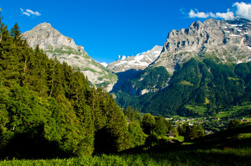 Fototapeta na wymiar Swiss mountains - Bernese Alps in summer, Switzerland, Grindelwald, Berner Oberland
