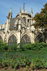 Fototapeta na wymiar The Notre Dame church in Paris - France