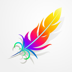 Fototapeta na wymiar rainbow feather vector.favorite color.symbol of freedom