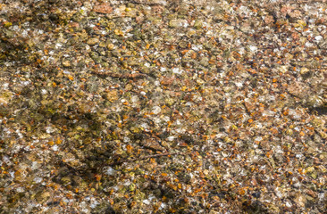 Galets et cailloux au fond du ruisseau