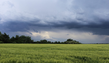 Field   in anticipation of rain