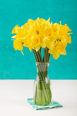 Yellow narcissus flowers in glass vase Copy space