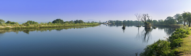 Panorama of a beautiful landscape in Mudumalai National Park, In