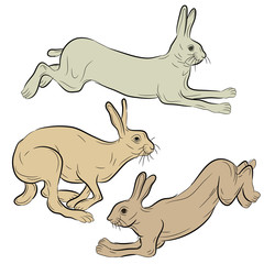 Wild hare running set 