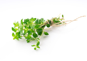 thyme on white background