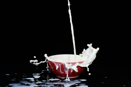 Falling milk flow into red bowl creating many splashes and swirl on black background.