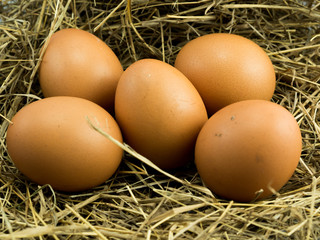 Five Eggs on a haystack