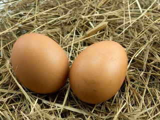 Two Eggs on a haystack
