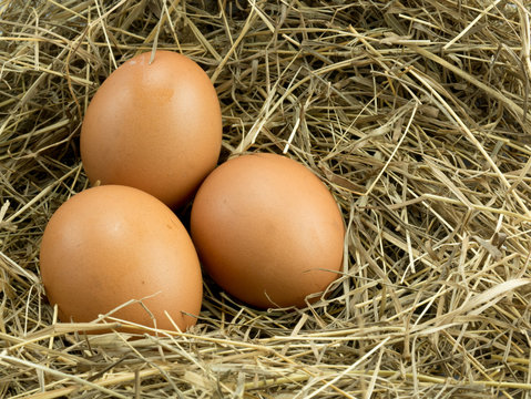 Three Egg on a haystack