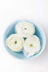 White floating ranunculus flowers Spa wellness background Copy space Top view