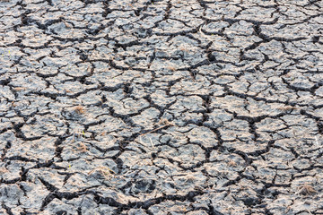 Cracked dry land without water.Abstract background.