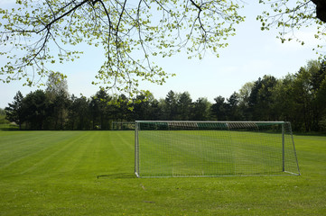 Goal and green grass