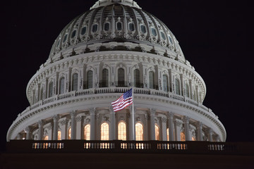 capitol building in Washington DC