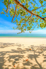 Beautiful beach of south of Thailand