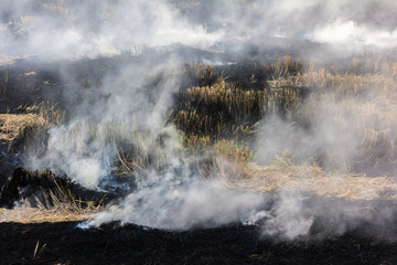Burning dry grass on field