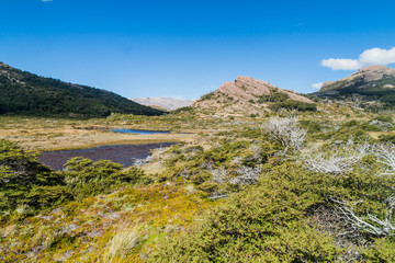 Fototapeta na wymiar Nature in National Park Los Glaciares, Patagonia, Argentina