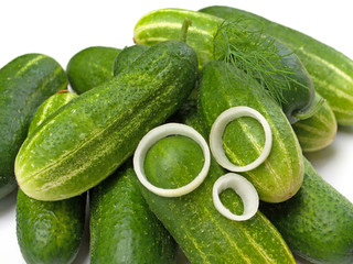 Gurken, Cucumis sativus, Einlegegurken