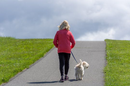 Woman walking a small brown dog up a hill on a path in a park on a sunny spring day