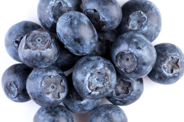 Blueberries on white background