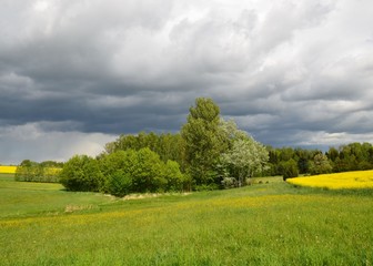 Schwarze Regenwolken über Frühlingslandschaft mit Rapsfeld und Baumblüte