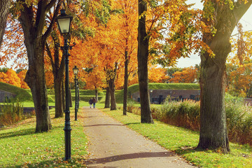 Walking through the autumn park.