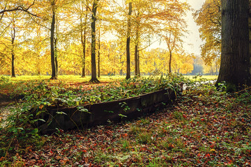 Fototapeta premium Old boat in the park by the canal overgrown with grass.
