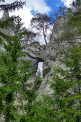 Fototapeta premium Blatnicka dolina, Slovakia