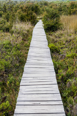 Boardwalk in Chiloe National Park, Chile