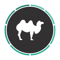 camel computer symbol