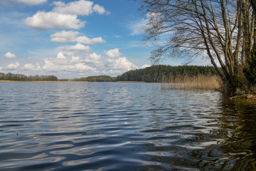 white clouds in blue sky and small waves on the surface of calm forest lake
Potsekh lake, Braslaw, Belarus
