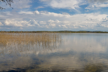 reflections of white clouds in blue sky on the surface of calm forest lake
Nedrava lake, Braslaw, Belarus