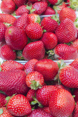 fresas en primer plano, imagen vertical, 