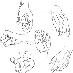Hands in different interpretations. Vector illustration. Isolated on white background
