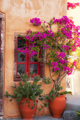 Fototapeta na wymiar Traditional greek house with flowers in Santorini island, Greece