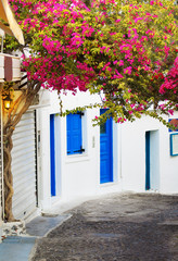 Fototapeta na wymiar Traditional Greek srteet with white houses and blue windows and