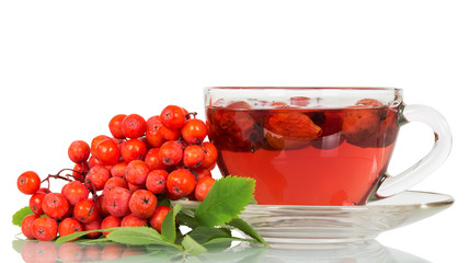 Rowan berries and  cup of tea with wild rose isolated.